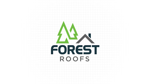 Forest Roofs in Denver, Colorado