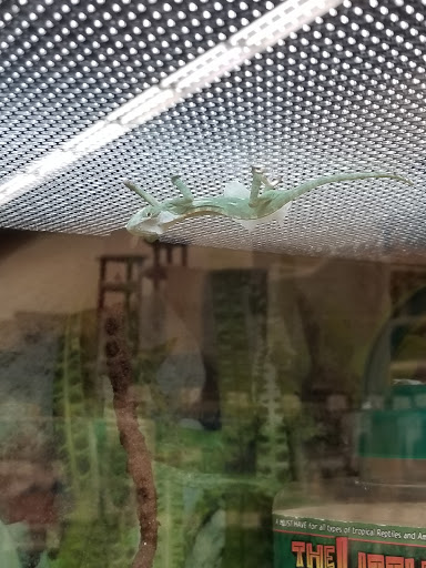 Pet Supply Store «Petco Animal Supplies», reviews and photos, 130 New Moriches Rd, Lake Grove, NY 11755, USA