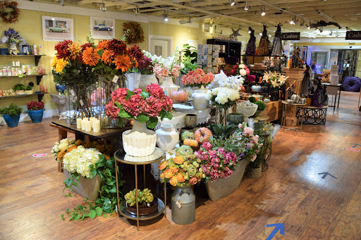 Plant Nursery «Potomac Petals and Plants», reviews and photos, 9545 River Rd, Rockville, MD 20854, USA