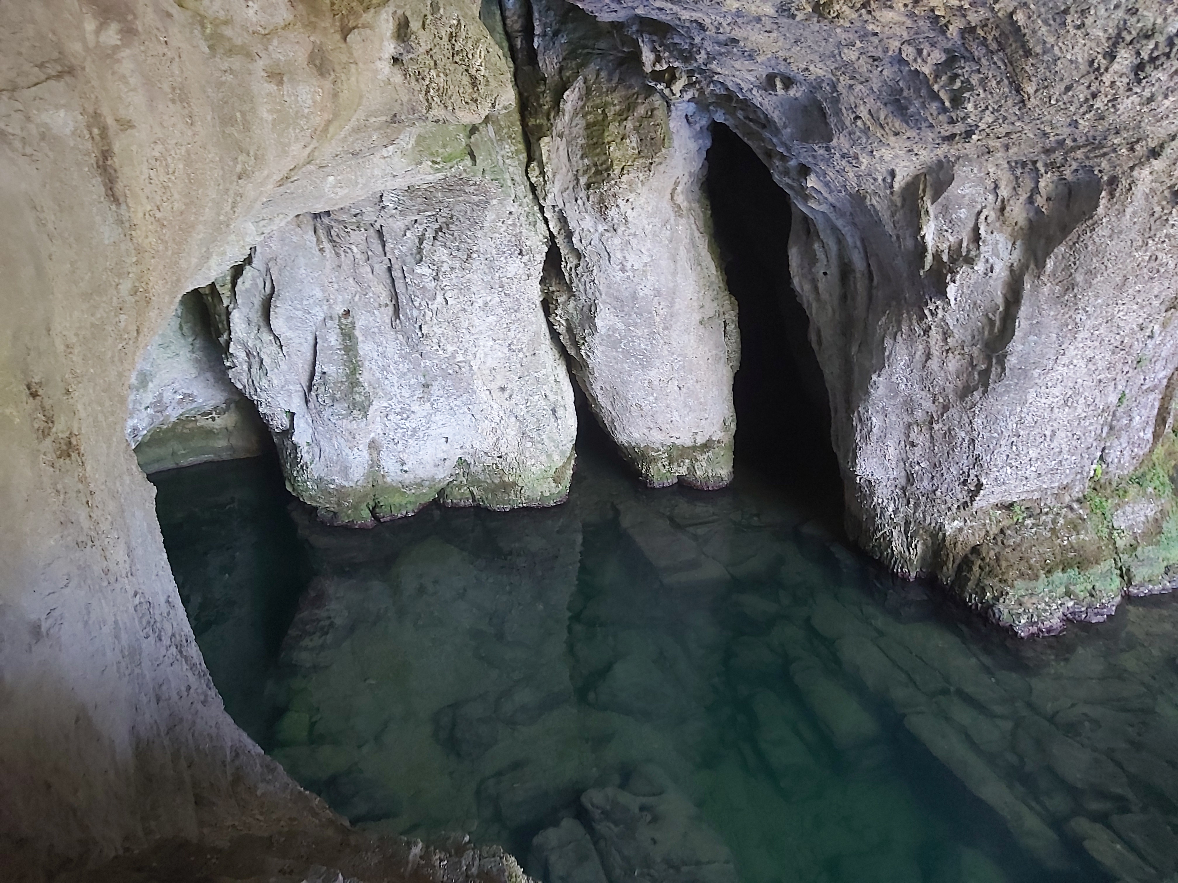 Photo n° 13 de l'avis de Océane.A fait le 21/08/2020 à 16:56