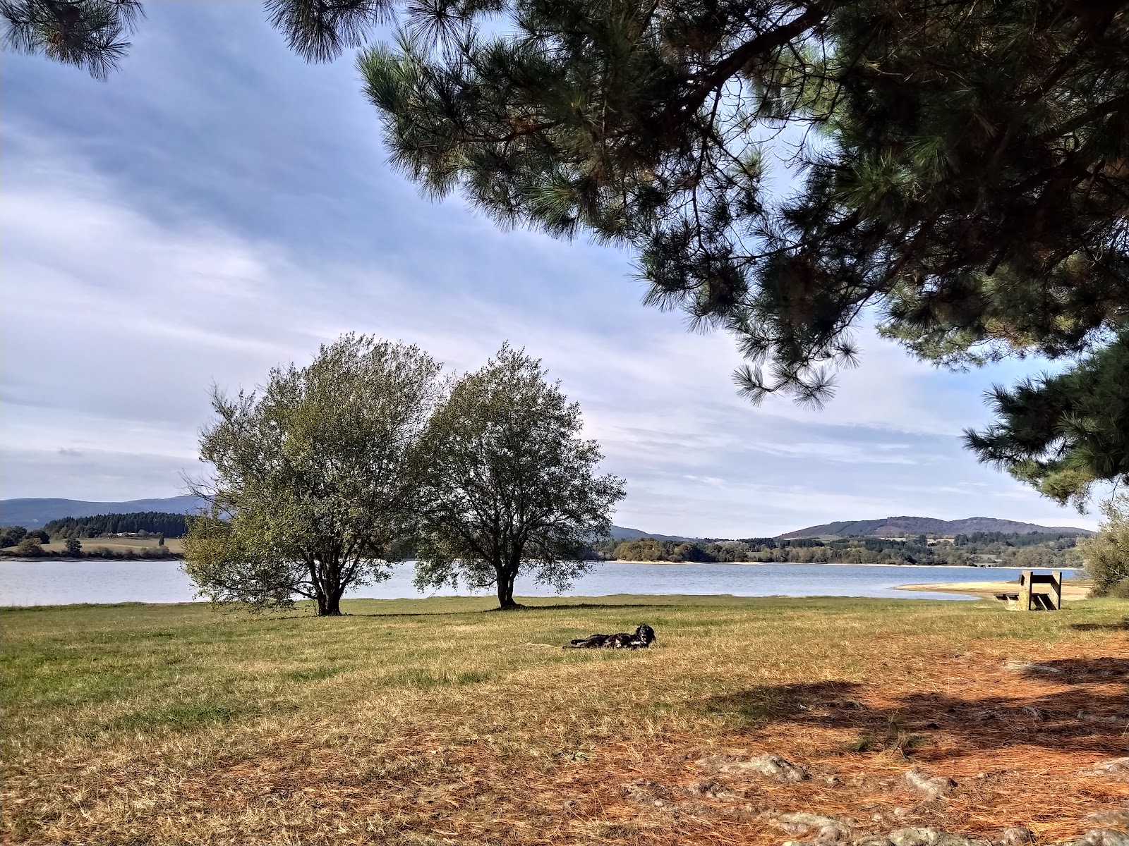 Foto di Merendero Legutio con una superficie del erba