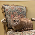 Photo n°3 de l'avis de Boo.S fait le 07/03/2024 à 18:00 sur le  Hotel San Gregorio à Pienza