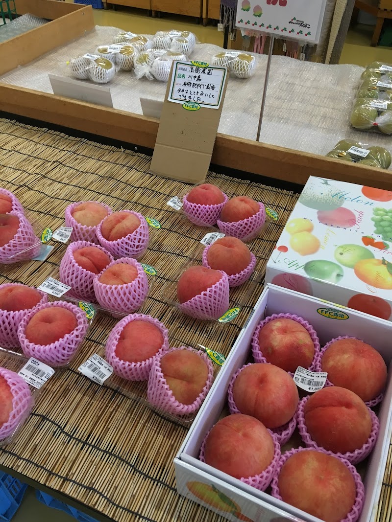 Ja花巻 農産物直売所母ちゃんハウスだぁすこ 岩手県花巻市野田 青果店 グルコミ