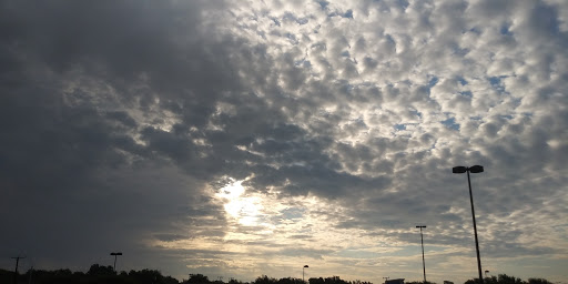 Grocery Store «Albertsons», reviews and photos, 215 N Carrier Pkwy, Grand Prairie, TX 75050, USA