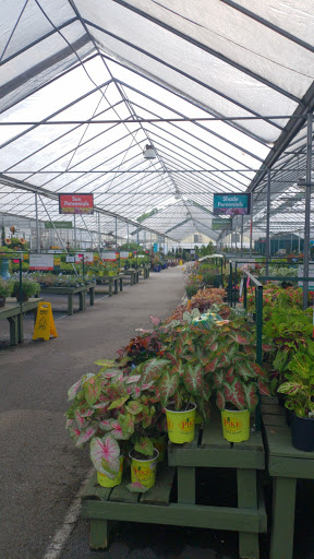 Garden Center «Pike Nurseries», reviews and photos, 6050 Bethelview Rd, Cumming, GA 30040, USA