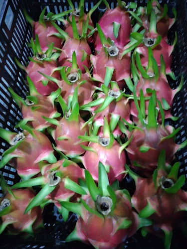 Empacadora De Frutas Ecuadordivine - Frutería