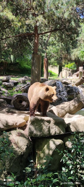 Photo n° 2 de l'avis de Sebastien.o fait le 02/05/2023 à 21:59