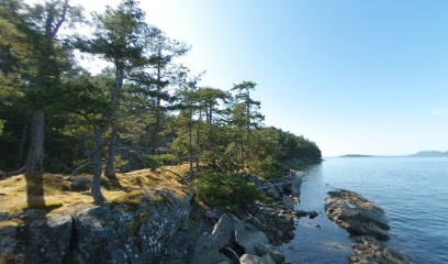 Cabin Bay, Campsite