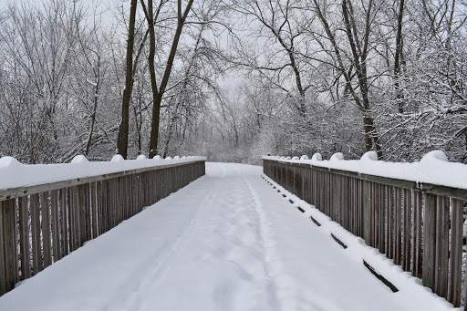 Nature Preserve «Greenbelt Forest Preserve», reviews and photos, 1110 S Green Bay Rd, North Chicago, IL 60035, USA