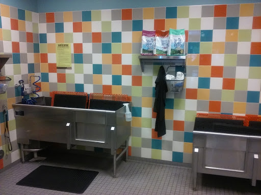 Pet Supply Store «Unleashed by Petco», reviews and photos, 9147 Boulevard 26 #430, North Richland Hills, TX 76180, USA