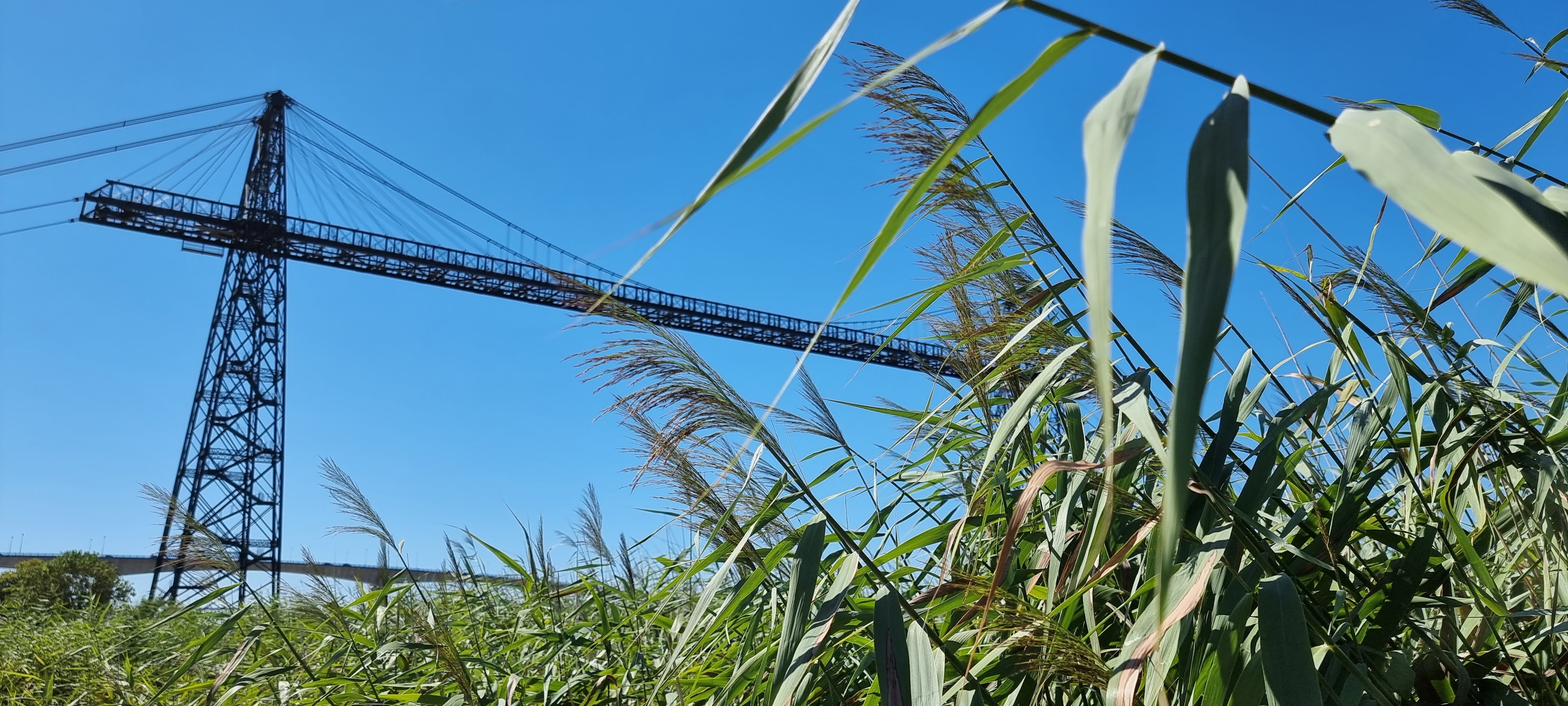 Photo n° 3 de l'avis de FESSLER.A fait le 07/08/2022 à 18:22