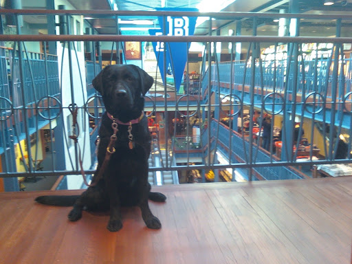 Book Store «Barnes & Noble at Bucknell University», reviews and photos, 400 Market St, Lewisburg, PA 17837, USA