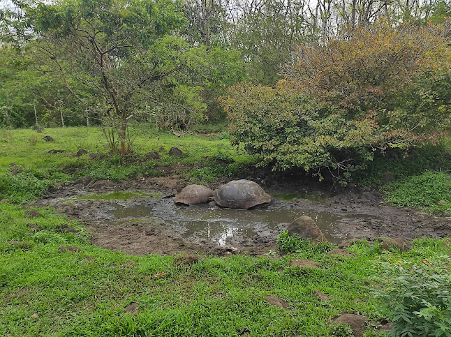 Rancho Primicias - Giant Tortoise Reserve - Latacunga