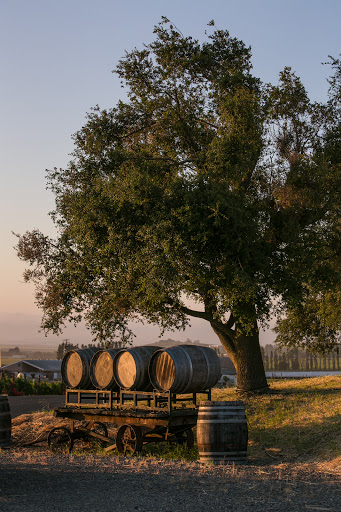 Winery «Schug Carneros Estate Winery», reviews and photos, 602 Bonneau Rd, Sonoma, CA 95476, USA