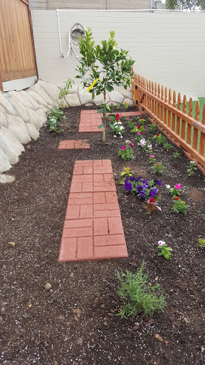 Preschool «The Vine Learning Center», reviews and photos, 2130 Ulric St, San Diego, CA 92111, USA