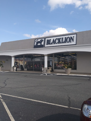 Furniture Store «BLACKLION Furniture», reviews and photos, 10635 Park Rd, Charlotte, NC 28210, USA