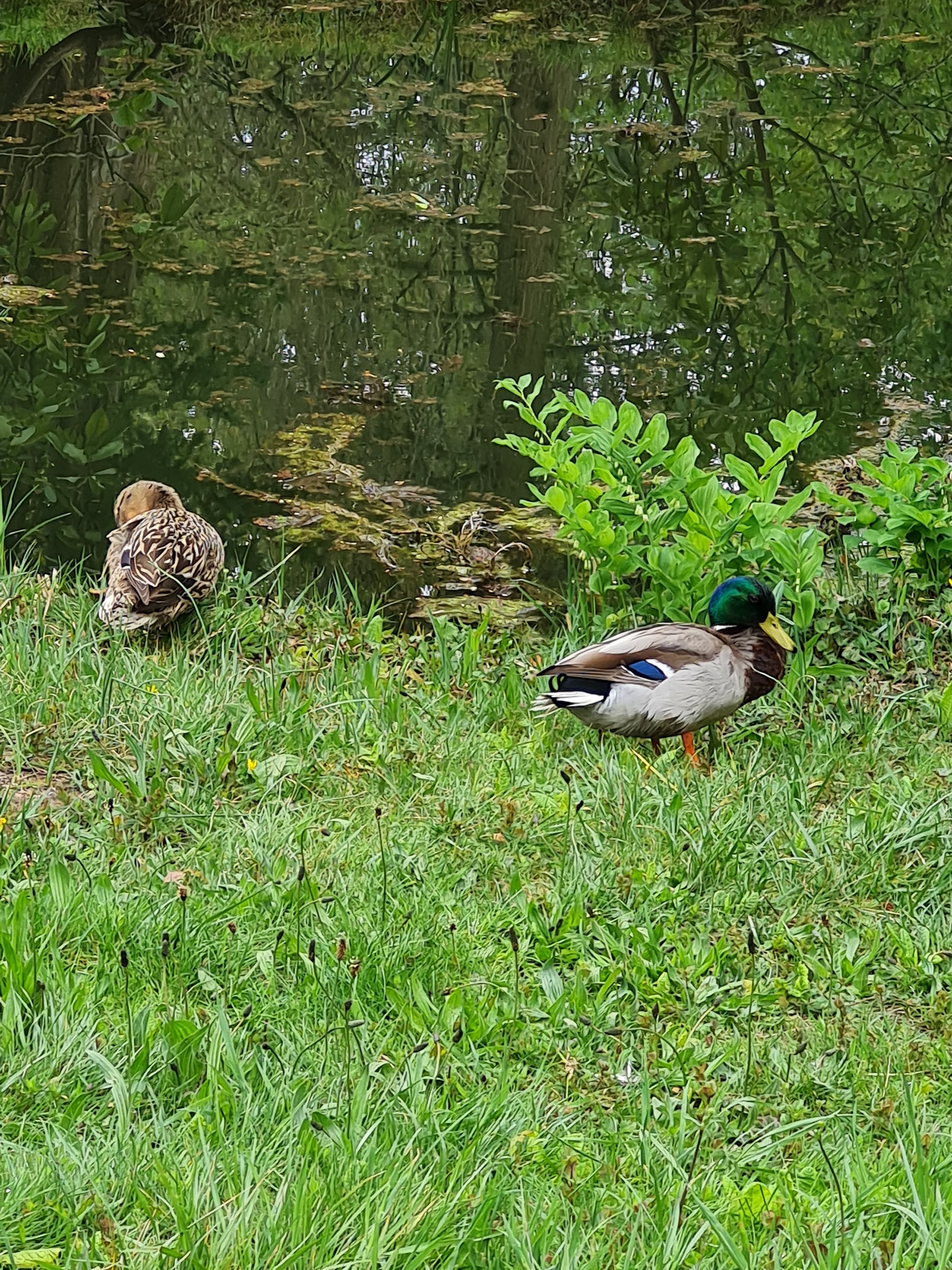 Photo n° 7 de l'avis de Murielle.a fait le 29/04/2021 à 18:58