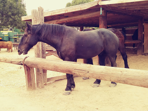 Produce Market «Underwood Family Farms», reviews and photos, 3370 Sunset Valley Rd, Moorpark, CA 93021, USA