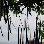 Photo n°7 de l'avis de Stefan.. fait le 09/06/2020 à 07:58 sur le  Hotel Pension Weinberg mit Landhaus Nizza à Gleisweiler