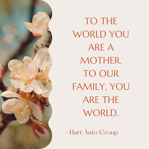 Nissan Dealer «Leckner Nissan of Springfield», reviews and photos, 6570 Amherst Ave, Springfield, VA 22150, USA