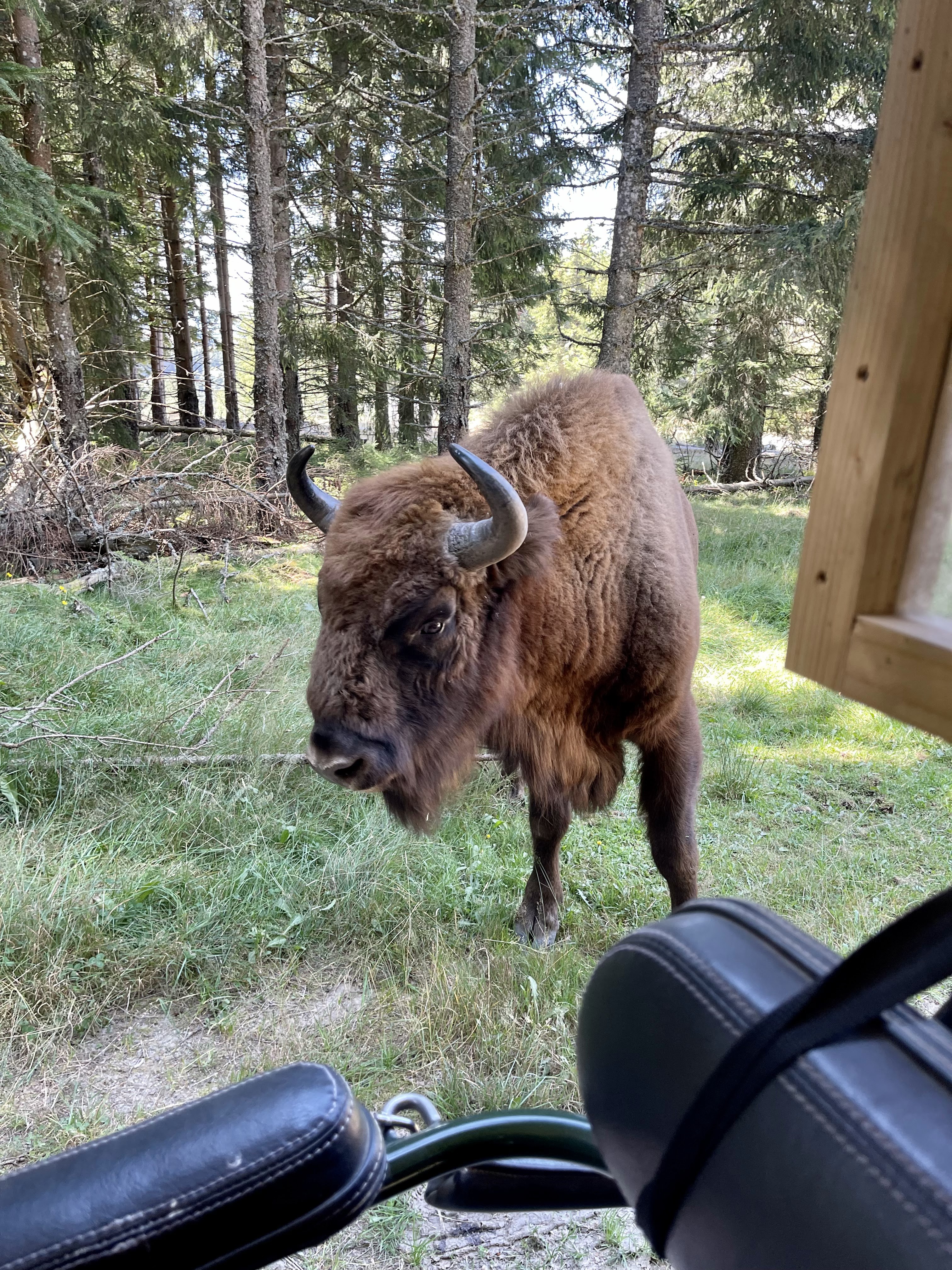 Photo n° 5 de l'avis de Karine.o fait le 30/08/2021 à 17:46