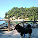 Photo n°1 de l'avis de andrea.e fait le 15/08/2020 à 09:32 sur le  Trieste à Lerici