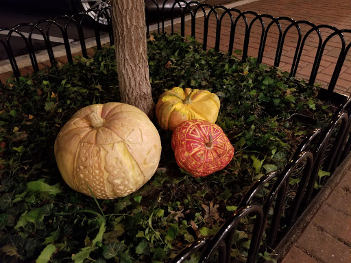 Florist «Crestwood Flowers», reviews and photos, 331 E 55th St, Kansas City, MO 64113, USA