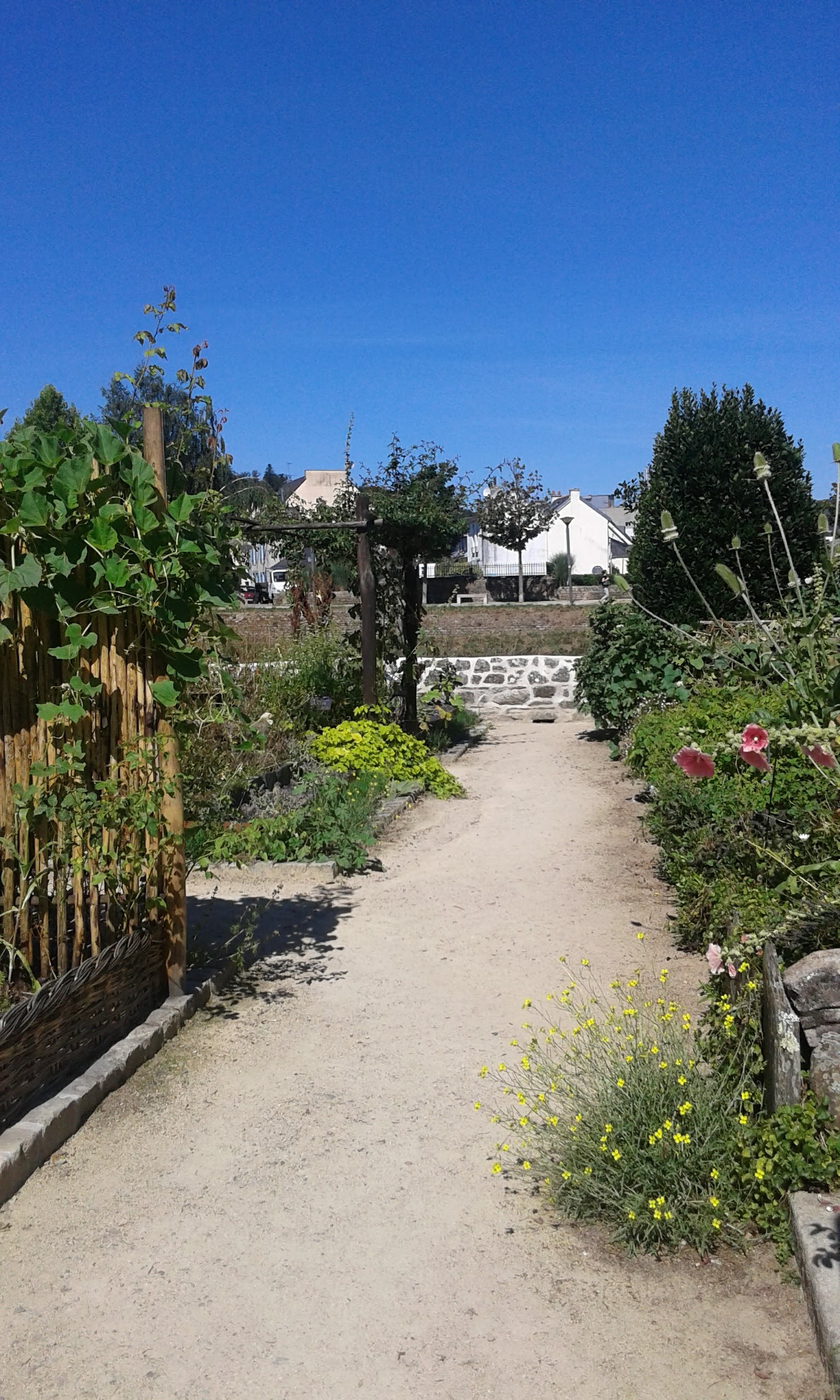 Photo n° 7 de l'avis de Bertrand.I fait le 04/07/2019 à 11:08