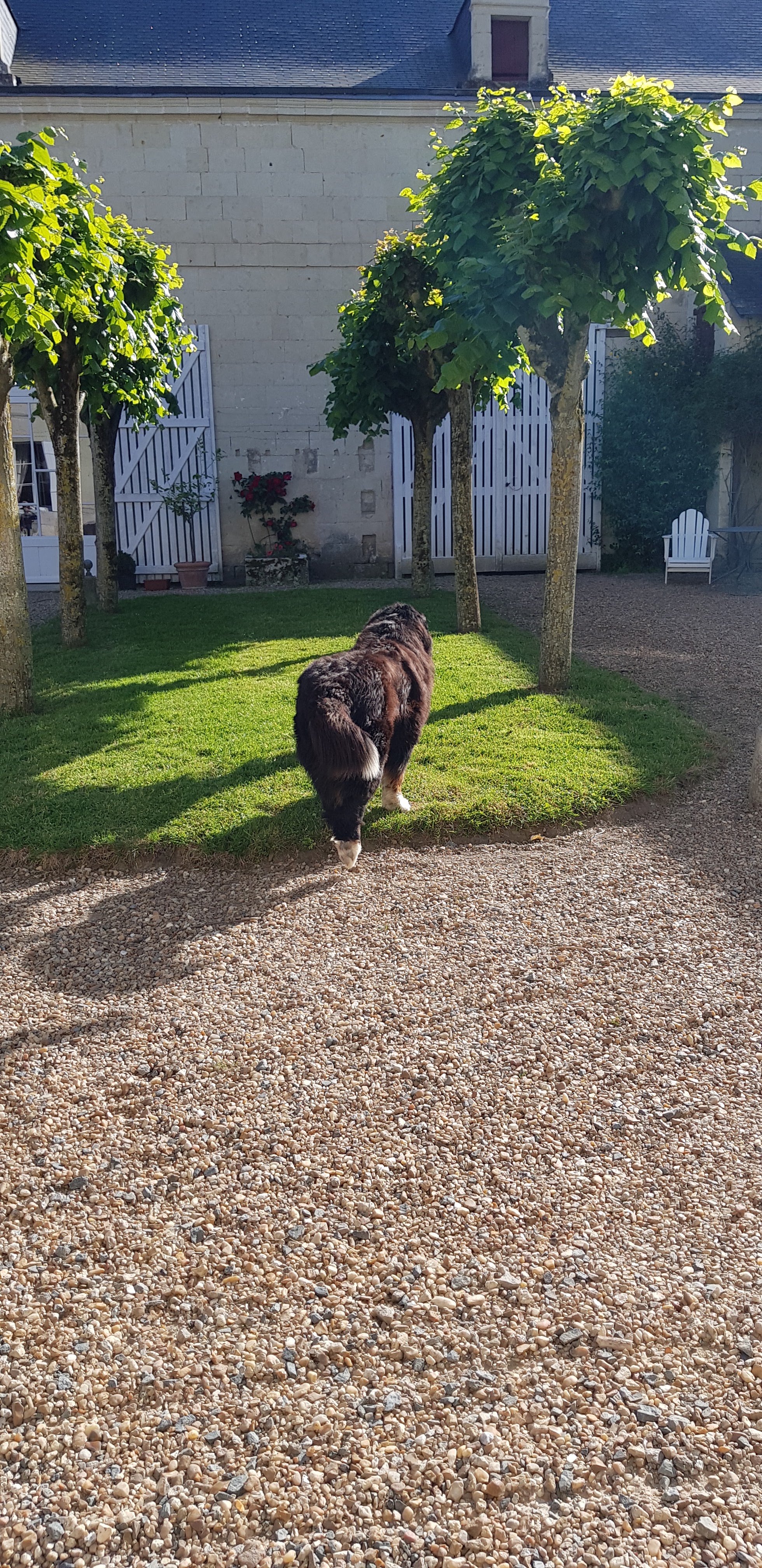 Photo n° 33 de l'avis de Olga.E fait le 19/05/2018 à 20:02