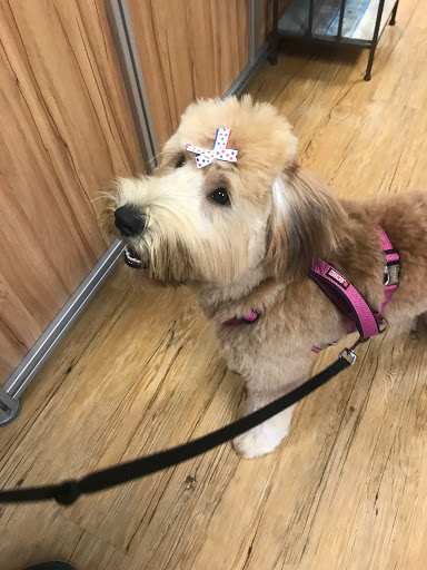 Pet Supply Store «EarthWise Pet Supply - Richardson», reviews and photos, 1310 W Campbell Rd #128, Richardson, TX 75080, USA