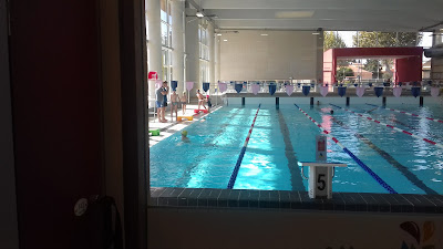 Piscine intercommunale AlberAquatic à Argelès-sur-Mer