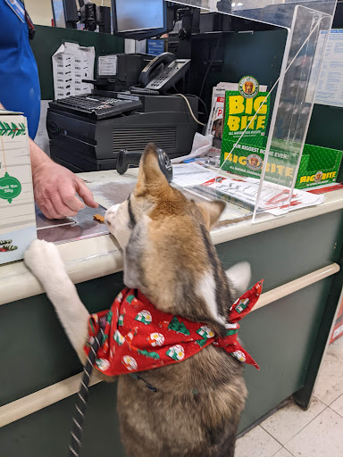 Pet Supply Store «PetSmart», reviews and photos, 8460 Tamarack Village, Woodbury, MN 55125, USA