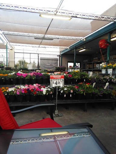 Discount Store «Walmart», reviews and photos, 2044 Forest Ave, Chico, CA 95928, USA