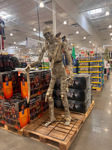 Costco Wholesale image