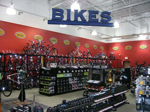 Bicycle store Lansing