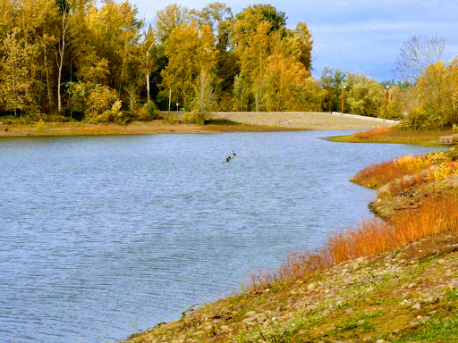 Park «Mary S. Young Park», reviews and photos, 19900 Willamette Dr, West Linn, OR 97068, USA