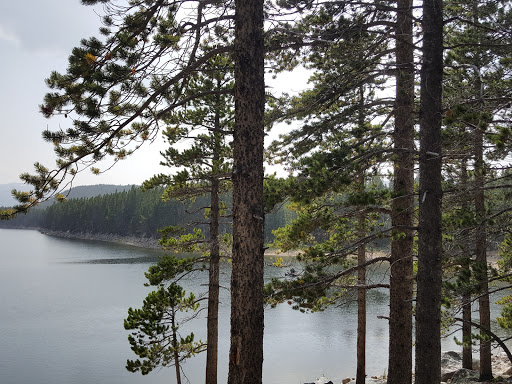 National Forest «Bighorn National Forest», reviews and photos