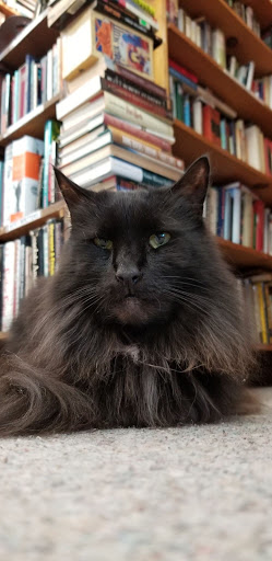 Used Book Store «Atlanta Vintage Books», reviews and photos, 3660 Clairmont Rd, Atlanta, GA 30341, USA