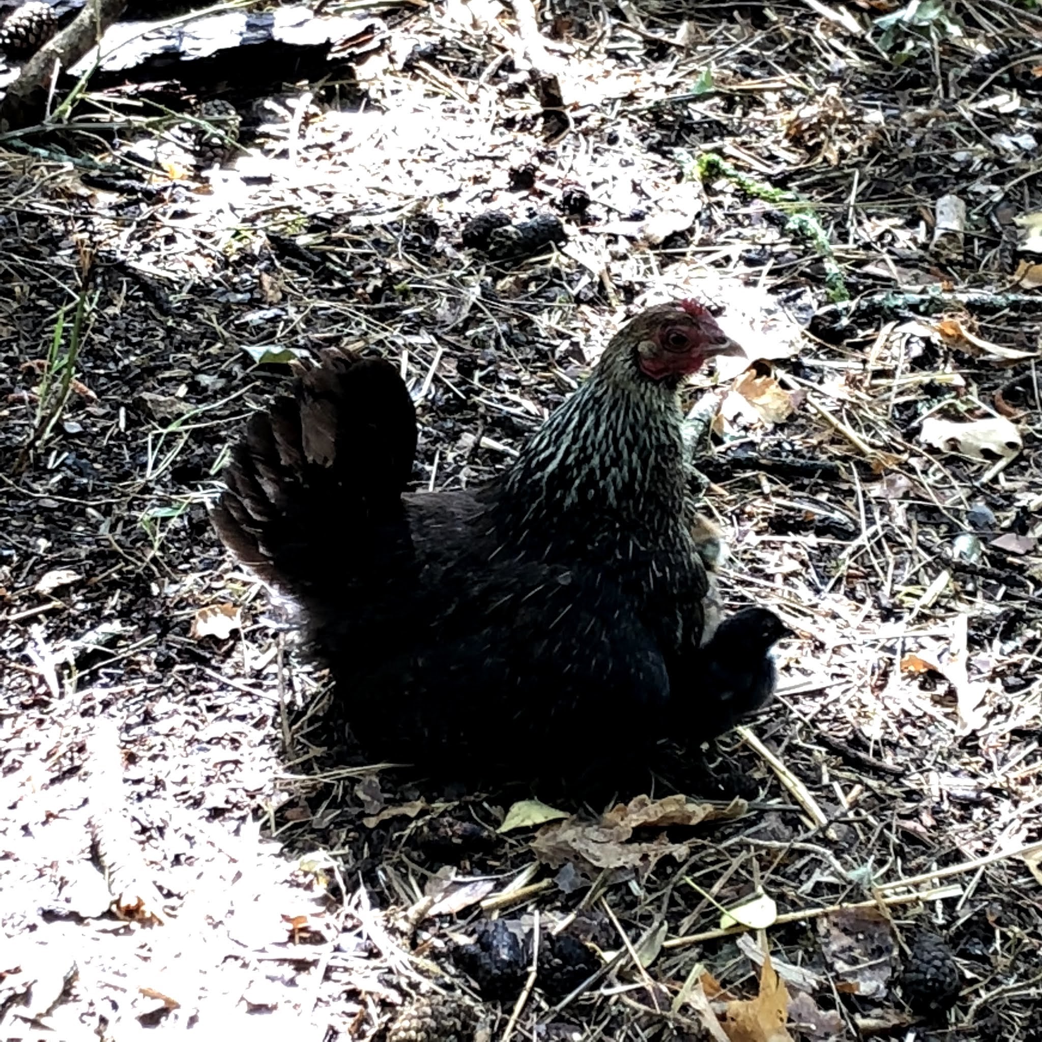 Photo n° 11 de l'avis de Izzie. fait le 26/07/2019 à 19:34