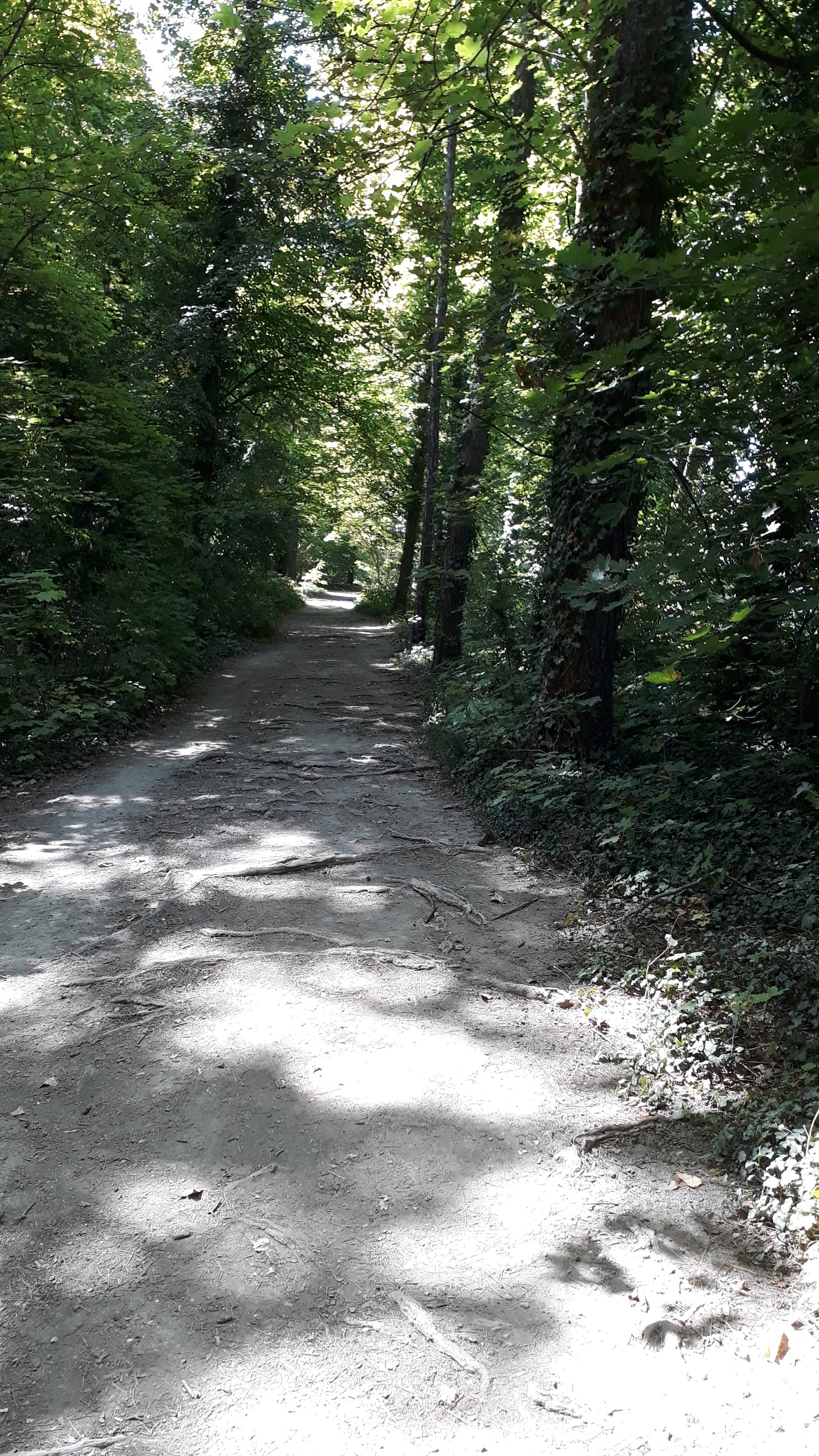 Photo n° 1 de l'avis de Veronique.a fait le 15/09/2019 à 13:59
