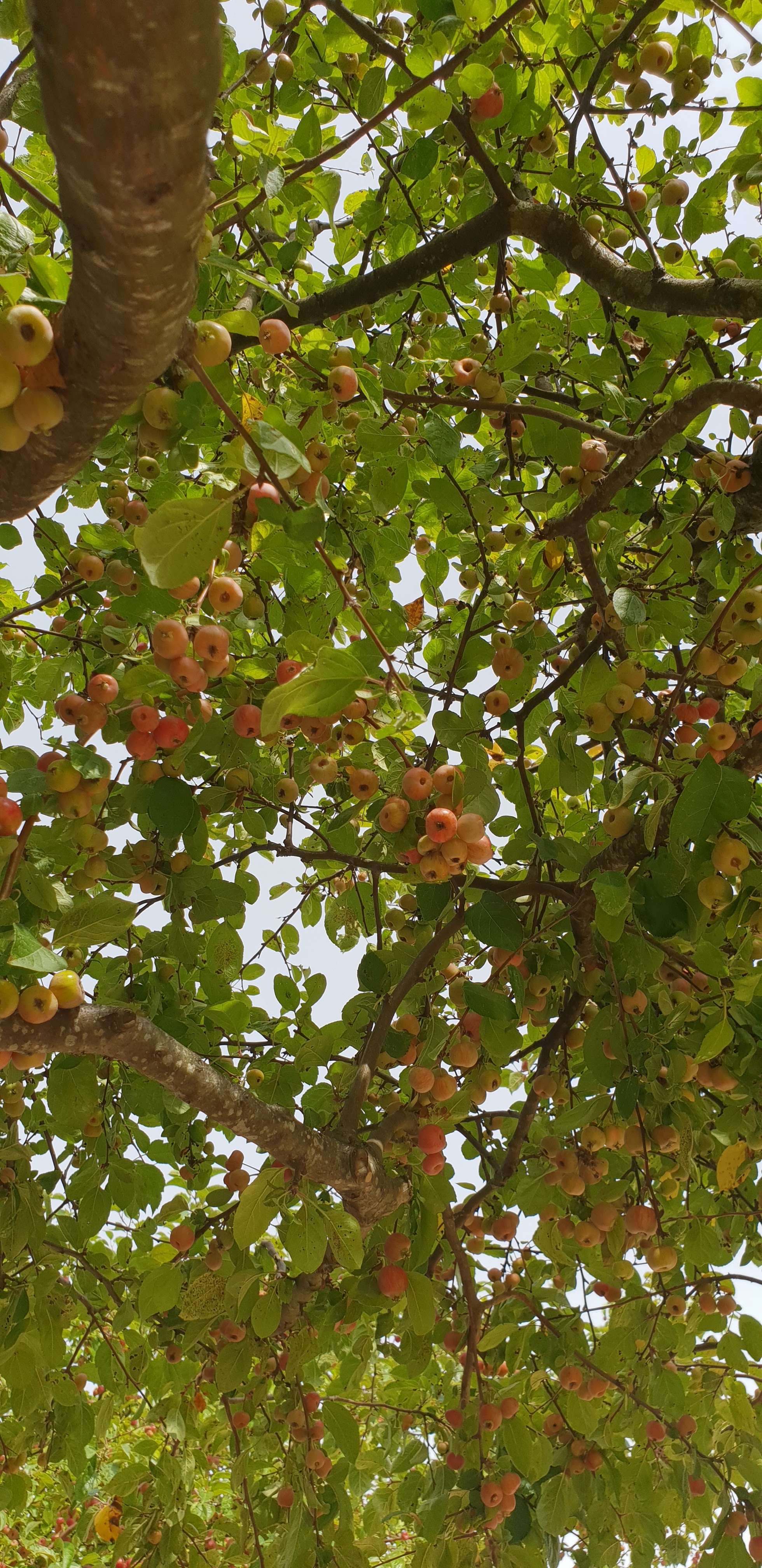 Photo n° 6 de l'avis de Doris.t fait le 04/09/2023 à 16:27