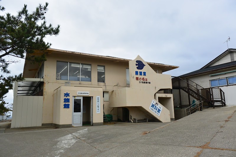 尖閣湾揚島遊園 水族館