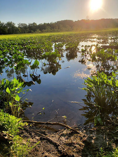 Park «Government Island», reviews and photos, 191 Coal Landing Road, Stafford, VA 22554, USA