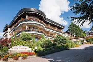 Hotel Schwarzmatt image
