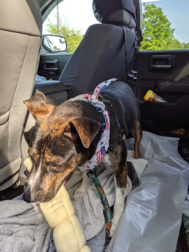 Pet Store «Pet Paradise», reviews and photos, 13478 Carrollton Blvd # P, Carrollton, VA 23314, USA