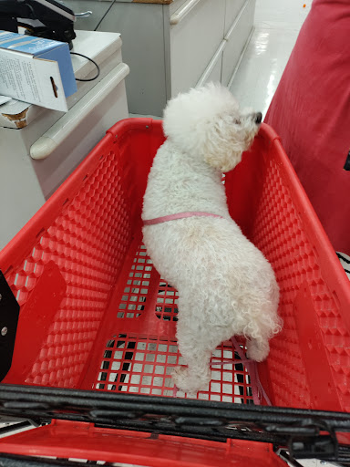 Craft Store «Michaels», reviews and photos, 10345 Magnolia Ave, Riverside, CA 92505, USA