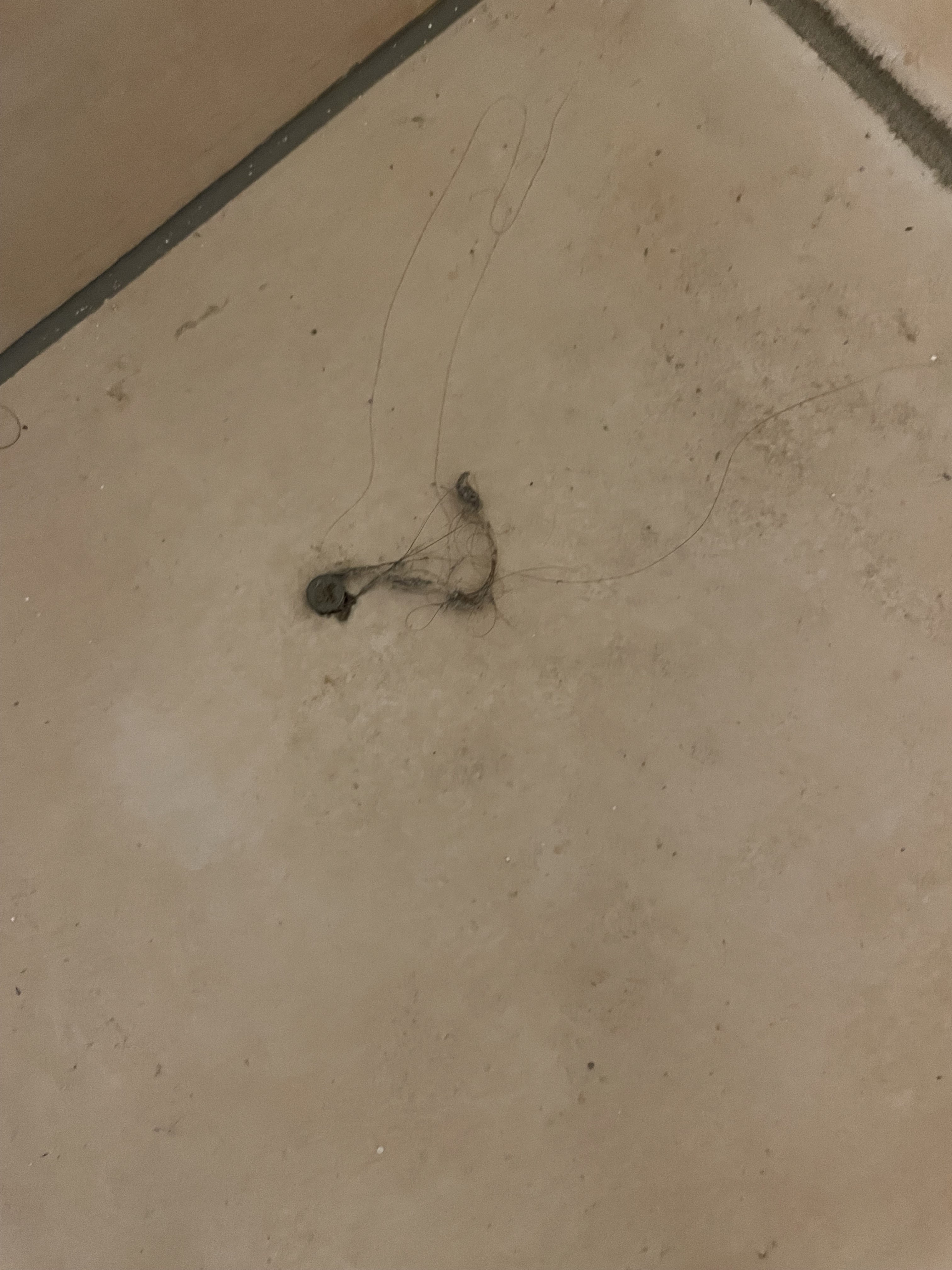 Photo n° 2 de l'avis de Rémy. fait le 20/08/2023 à 08:49