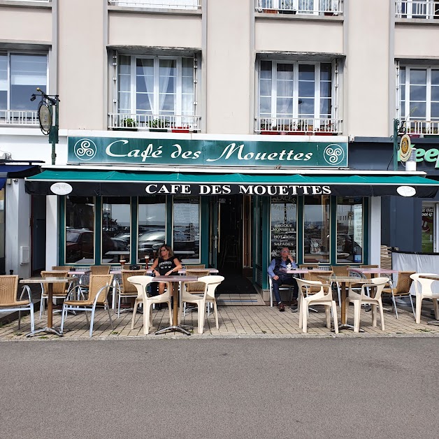 Café des mouettes à Brest (Finistère 29)