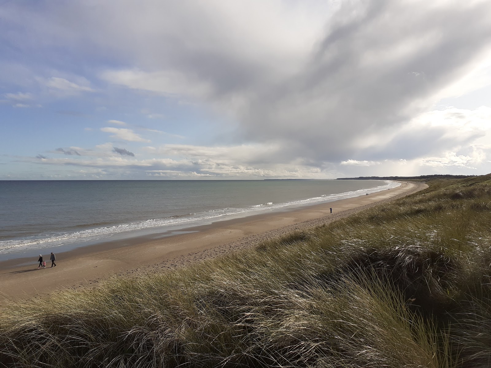 Ballinesker Beach photo #8