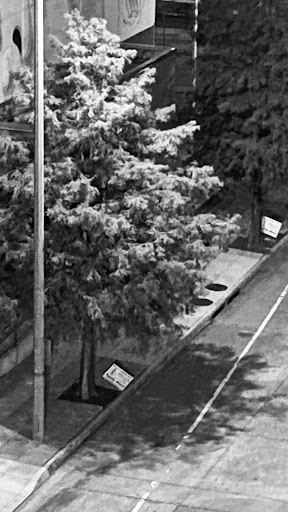 Thrift Store «Goodwill», reviews and photos, 3121 College Dr # B, Baton Rouge, LA 70808, USA